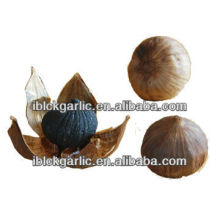 Healthy Natural Food Herb Solo Black Garlic 1 bulb/bag